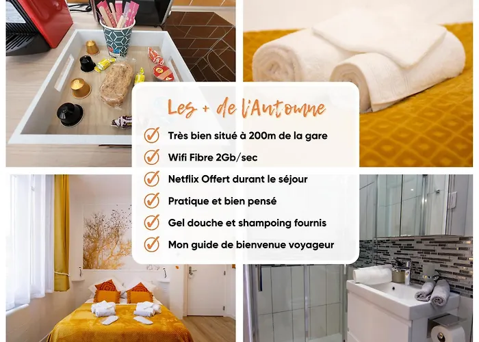Promenade D'automne - Netflix & Wifi - Climatisation- Parking Gratuit - Check-in 24h24 - Emplacement Velos - Goodmarning Châlons-en-Champagne